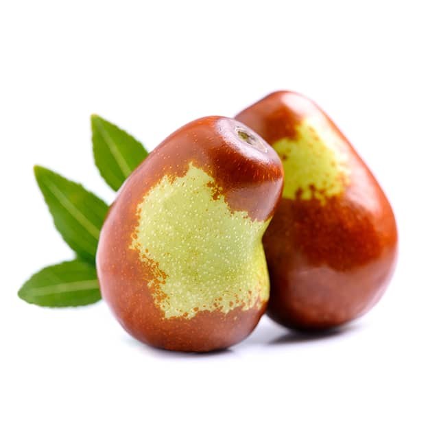 jojoba6