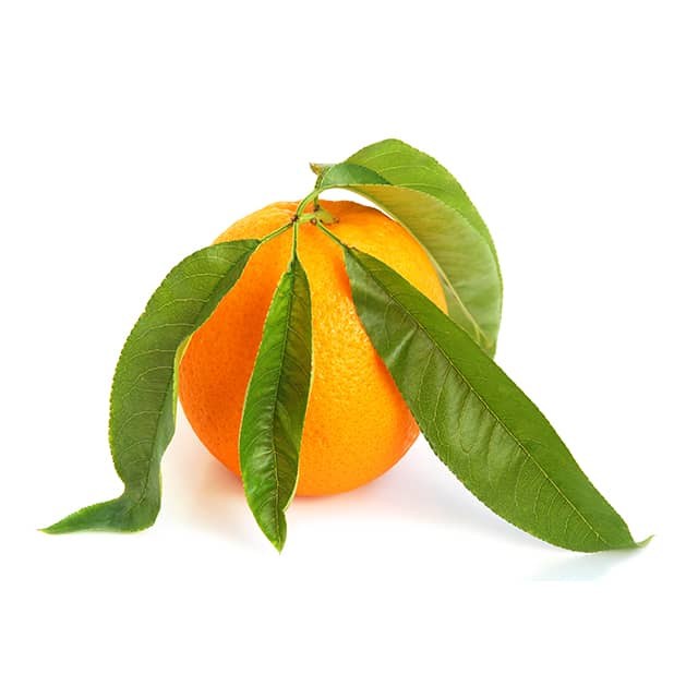 sweet_orange2